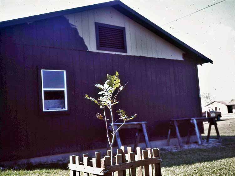 finished garage, pecantree